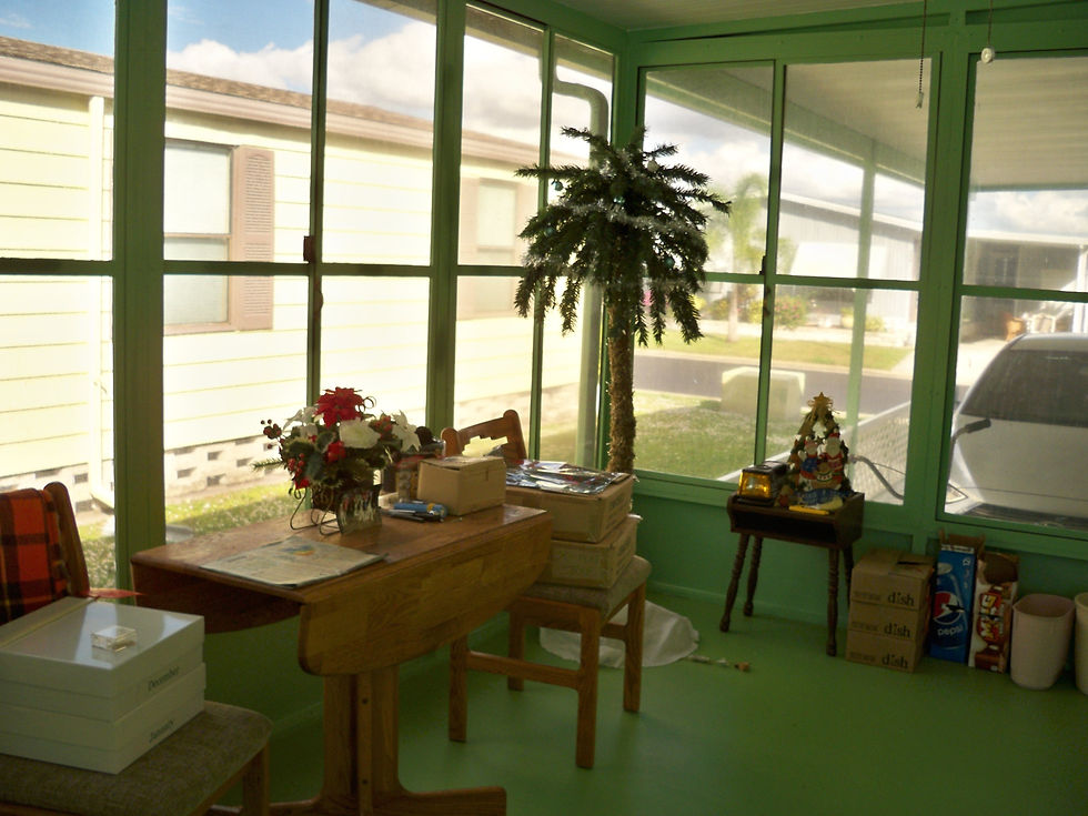 Lot 399 Lanai