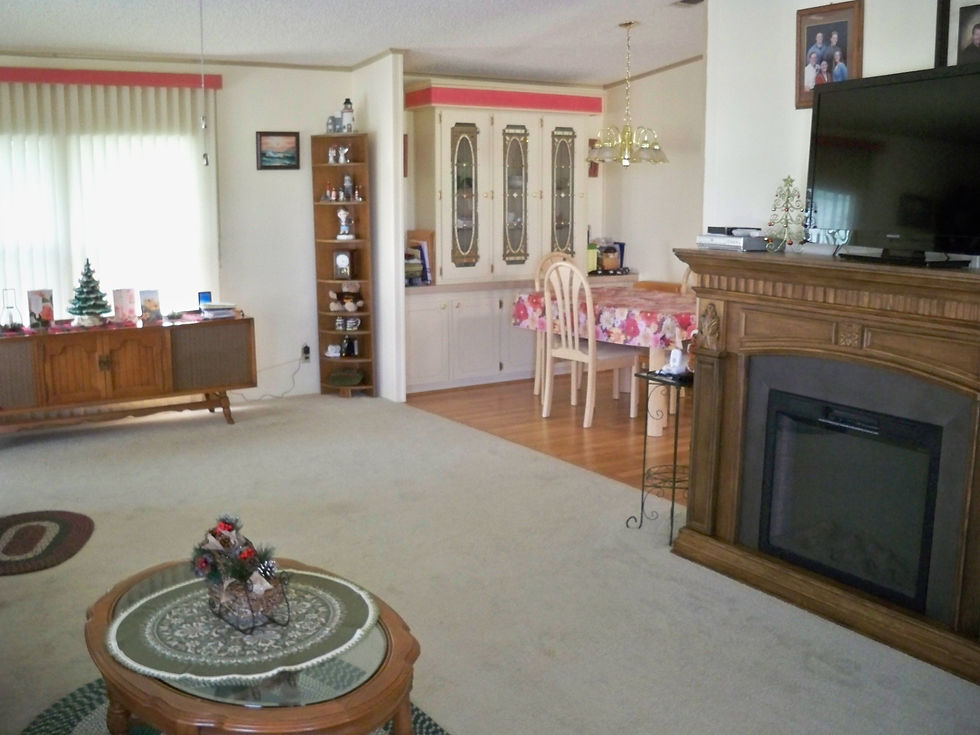 Lot 399 Living Room 2