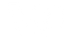VP 2019_PP_V2modern_logo.png