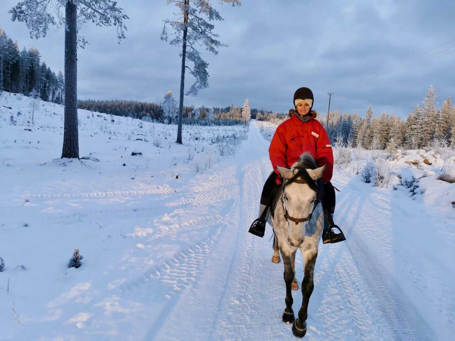 Balade cheval neige Laponie Suédoise Umeå Lycksele hiver