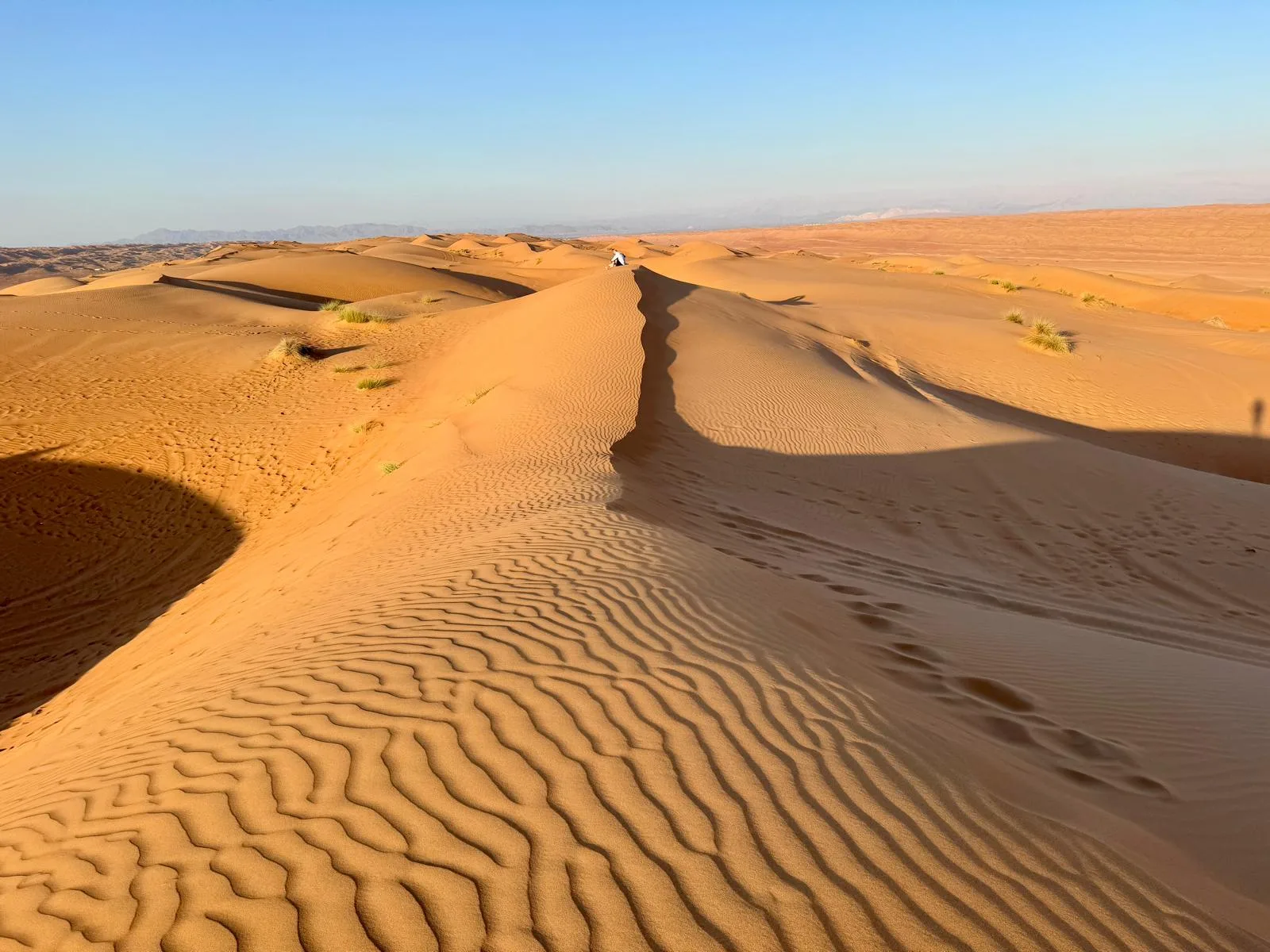 Crête dune sculptée vent désert Wahiba Sands Oman