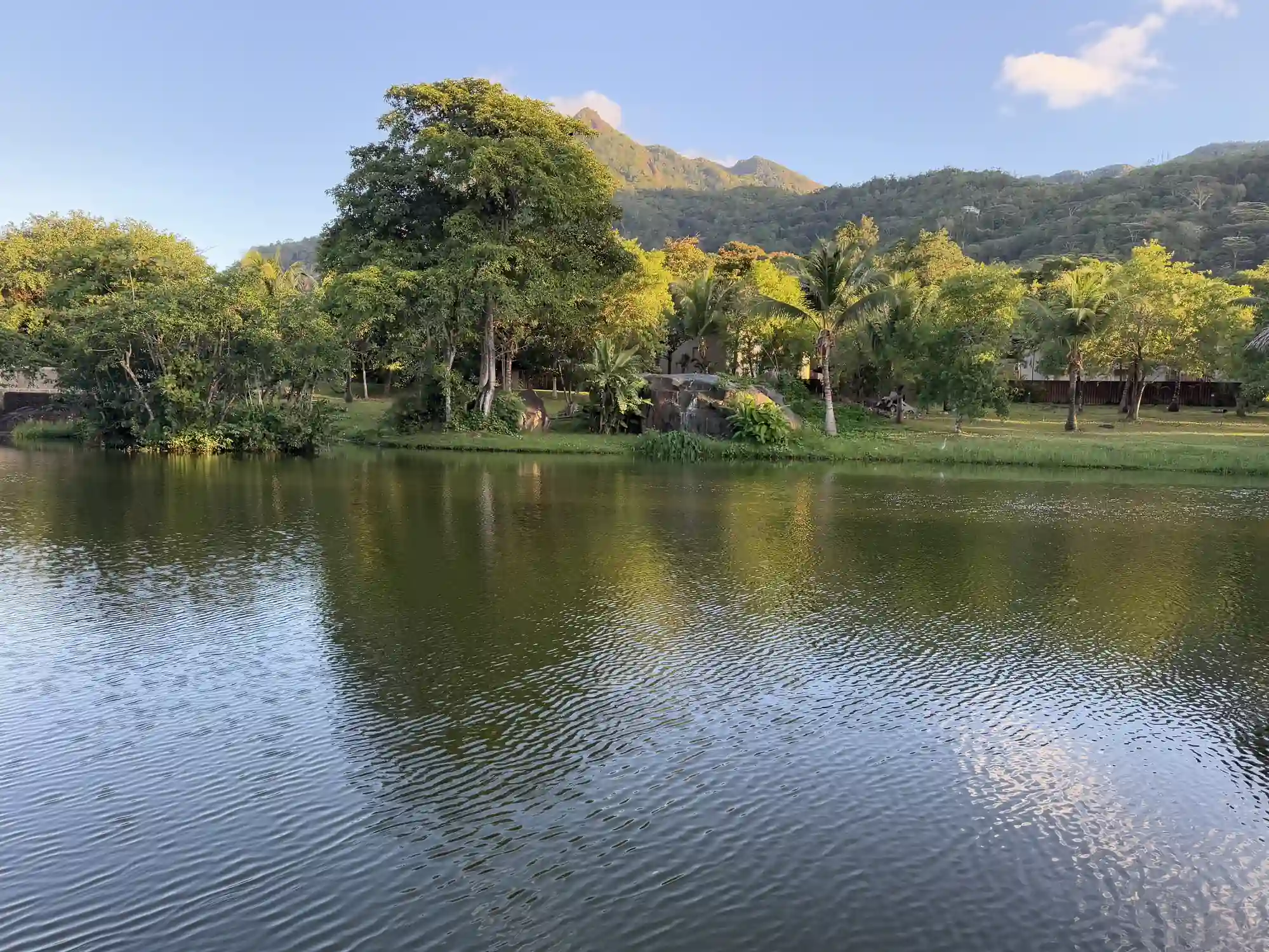 Lac tropical jardins verdoyants Story Hotel Mahé Seychelles