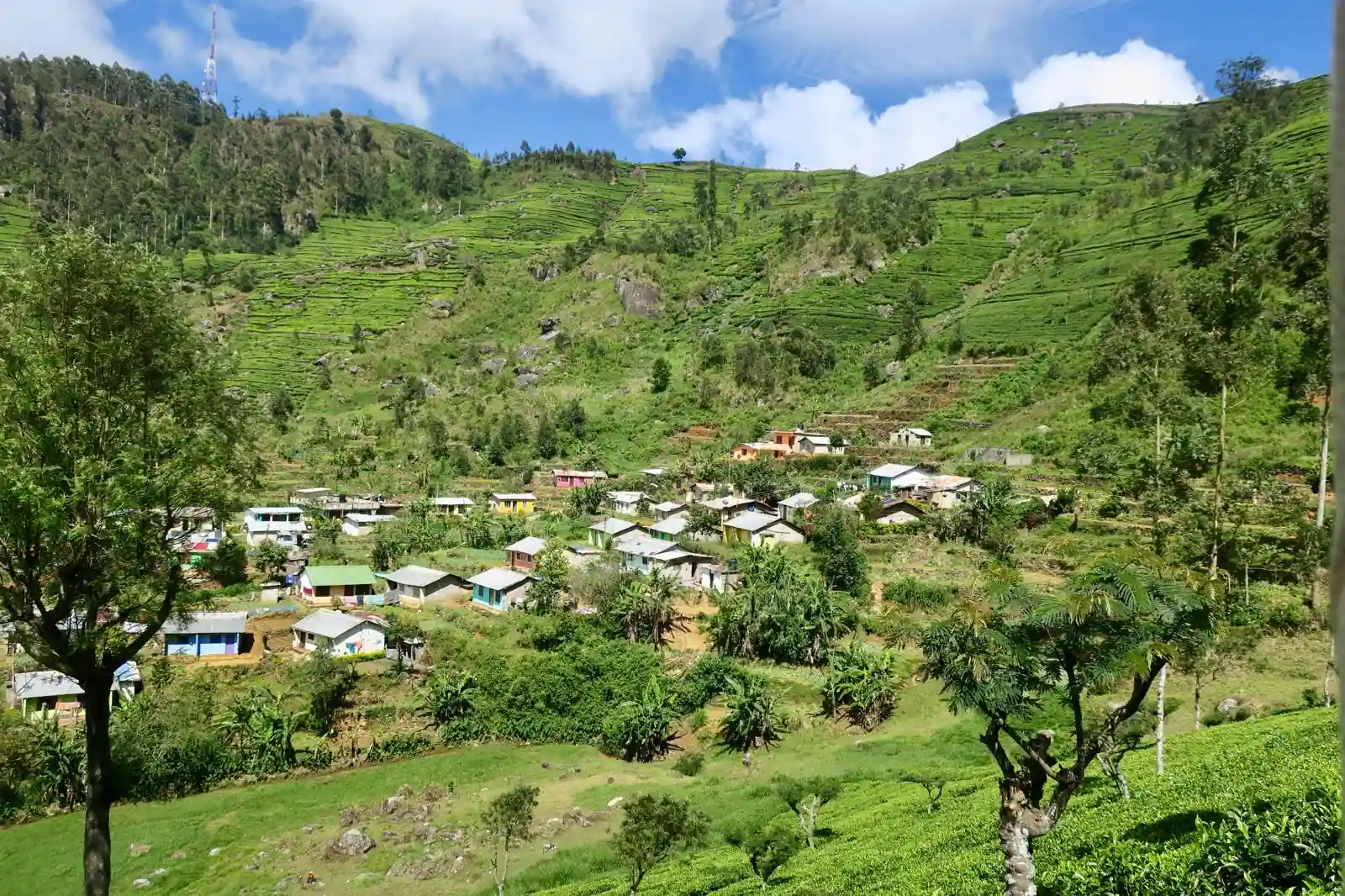 Village montagne plantations thé Sri Lanka
