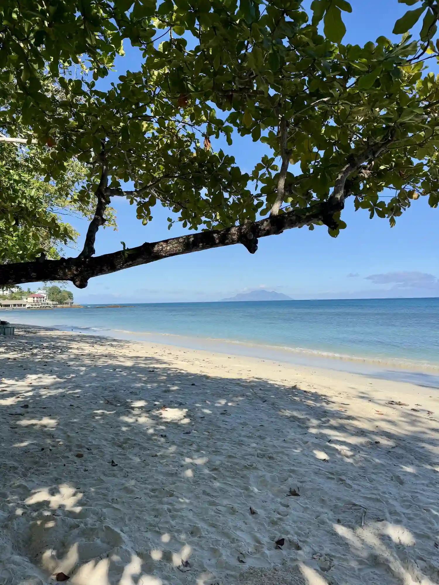 Plage ombragée sable blanc Beau Vallon Mahé Seychelles