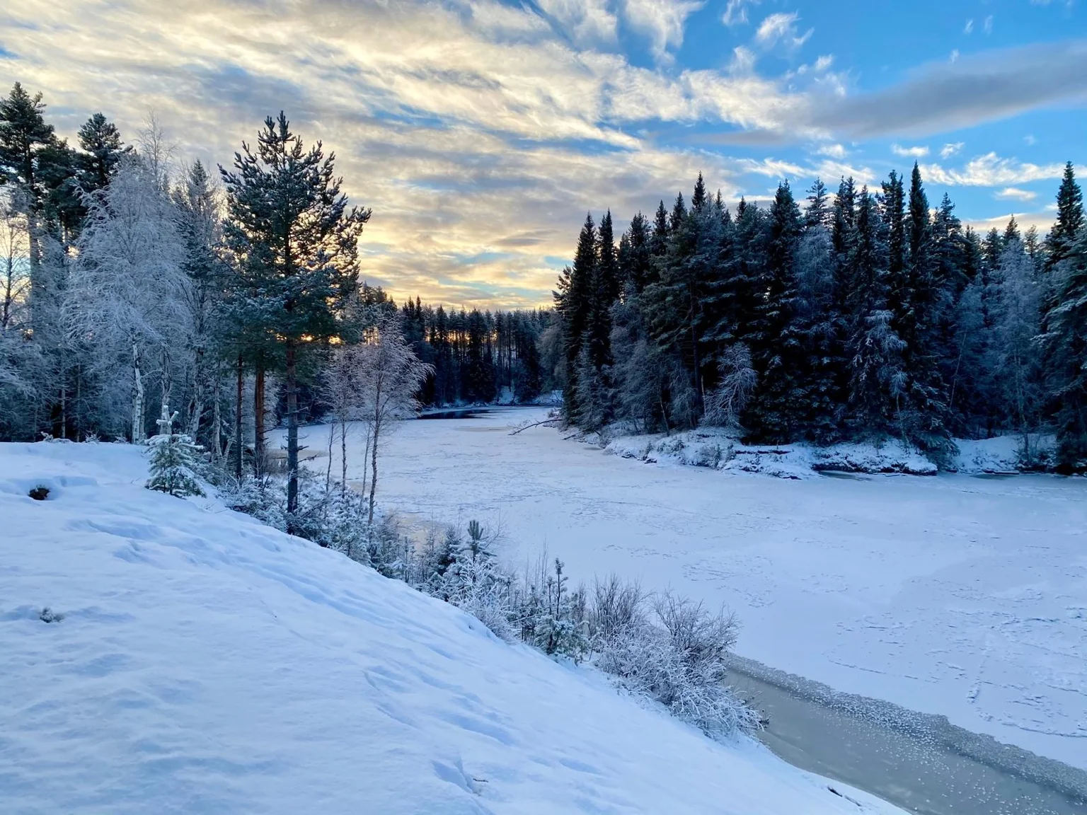 Forêt enneigée rivière gelée Laponie Suédoise Umeå Lycksele