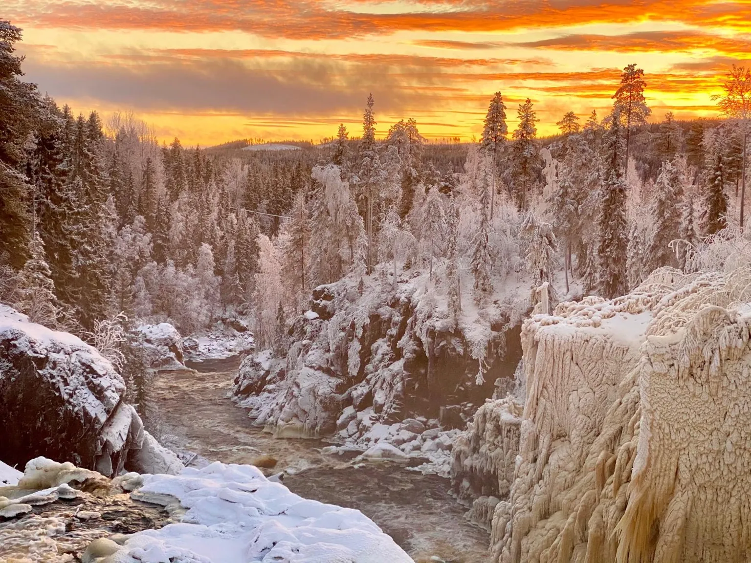 Rivière glacée forêt enneigée coucher soleil Umeå Lycksele Laponie Suédoise