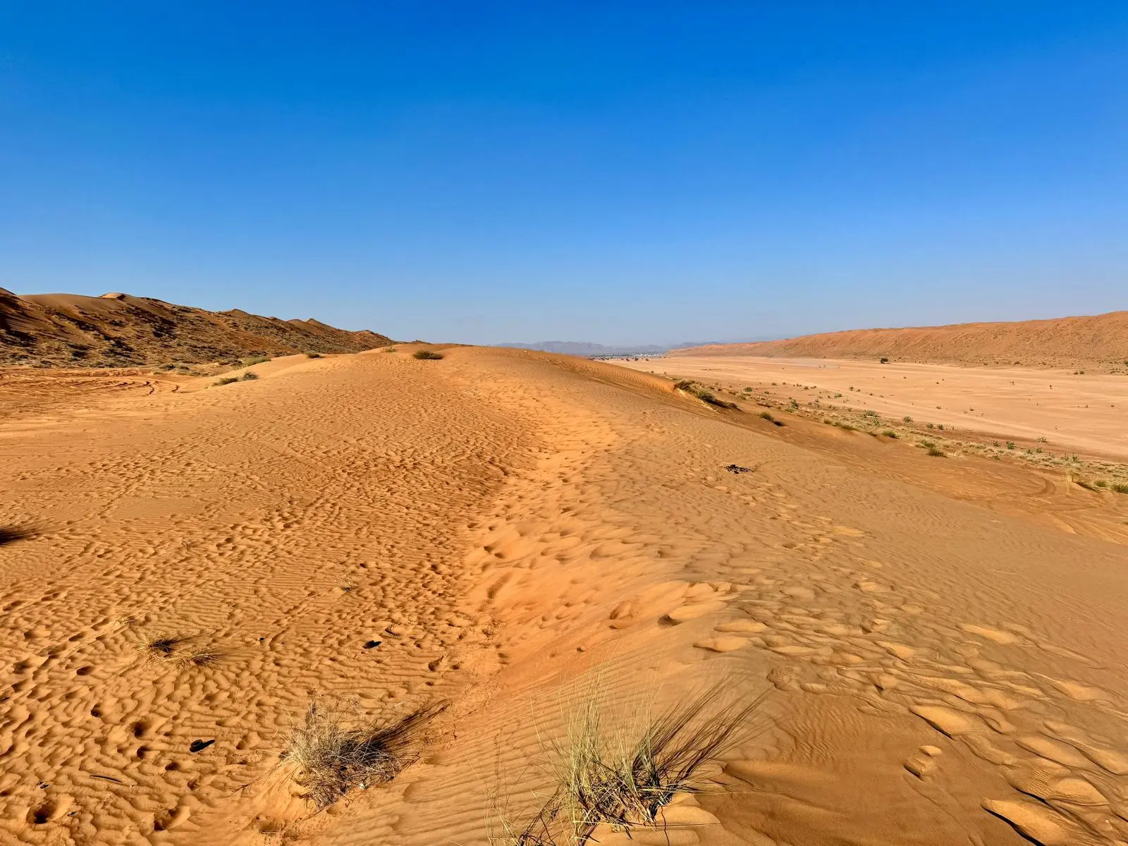 Panorama dunes infinies désert Wahiba Sands Oman
