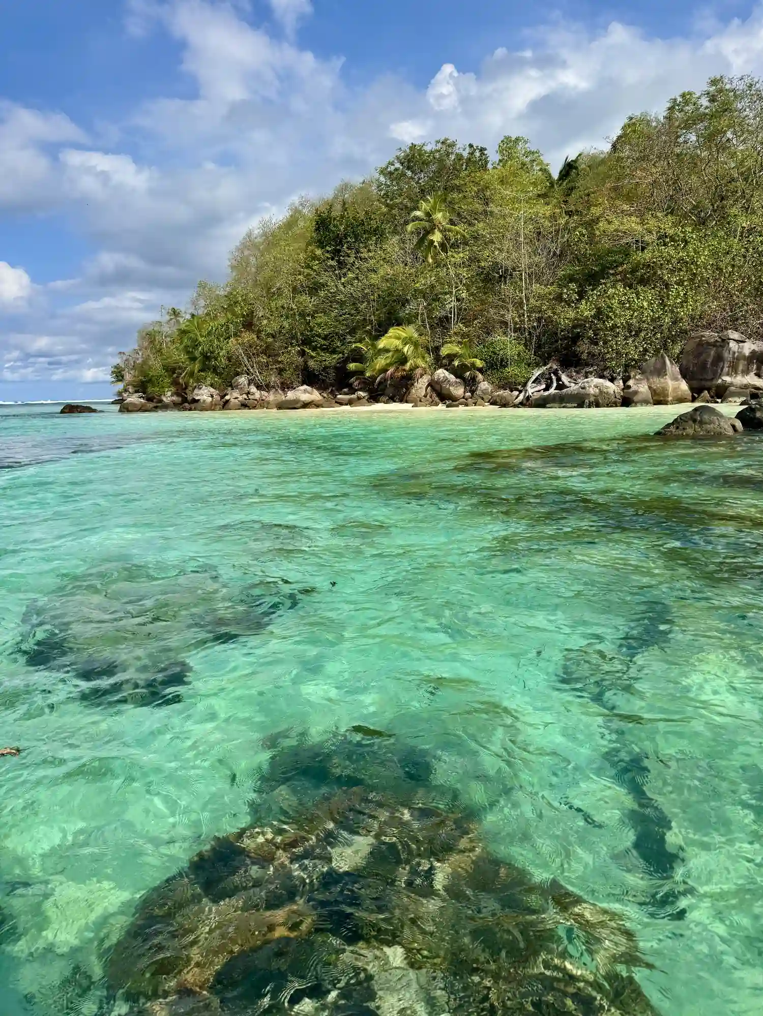 Îlot tropical eaux turquoise excursion mer Mahé Seychelles