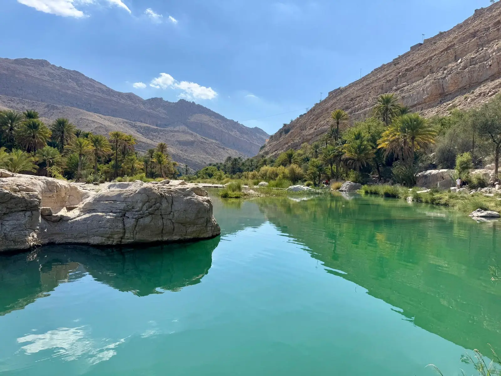 Reflets palmiers montagnes bassin turquoise Wadi Bani Khalid Oman