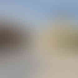 Grande Mosquée Sultan Qaboos cour colonnes Muscat Oman