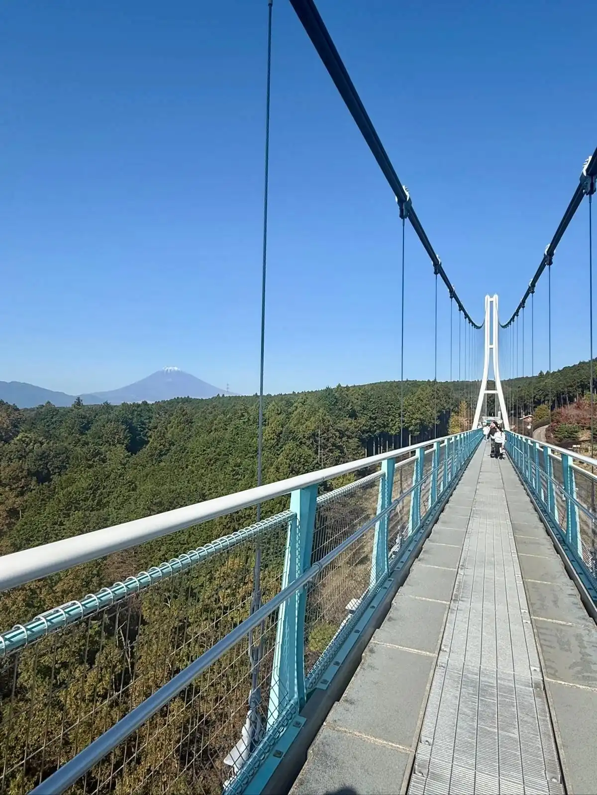 Pont suspendu Mishima Skywalk Mont Fuji Shizuoka Japon