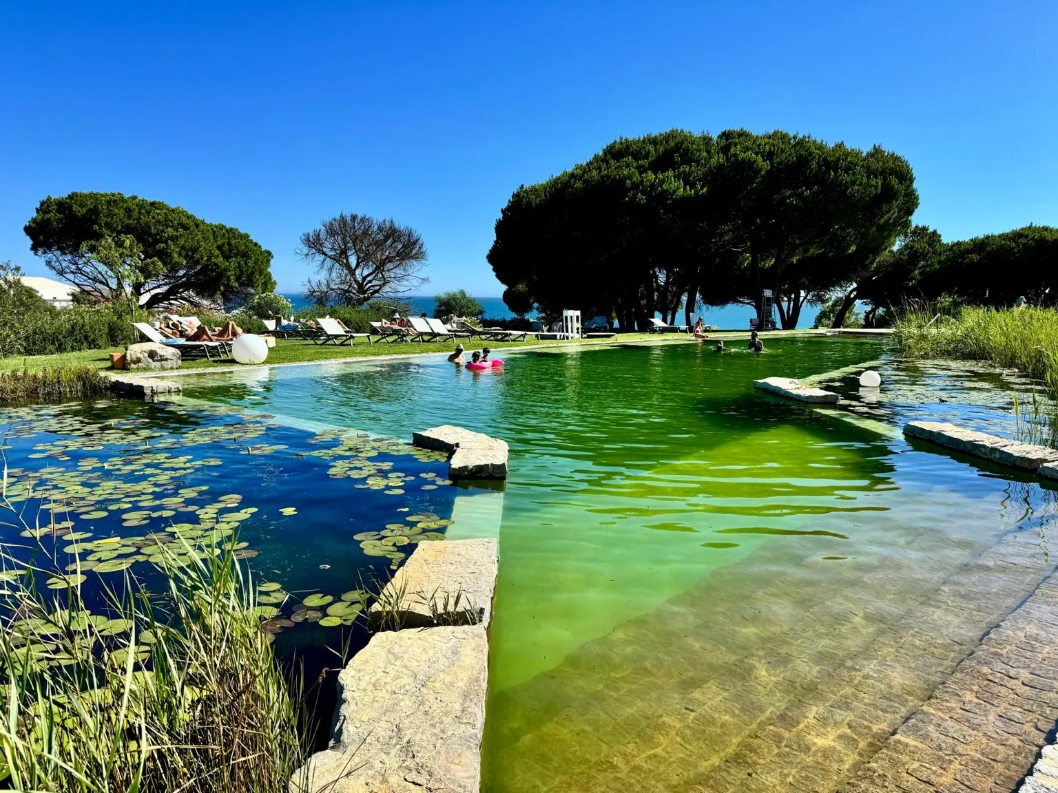 Piscine naturelle végétation transats Algarve Portugal