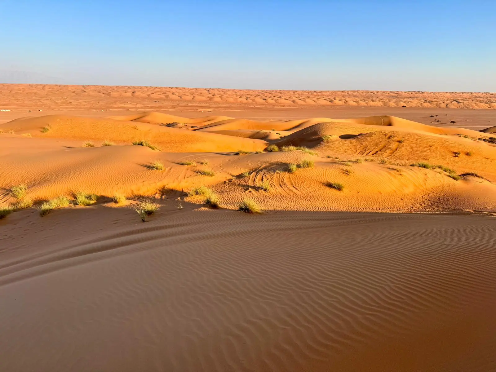 Dunes ondoyantes dorées désert Wahiba Sands Oman