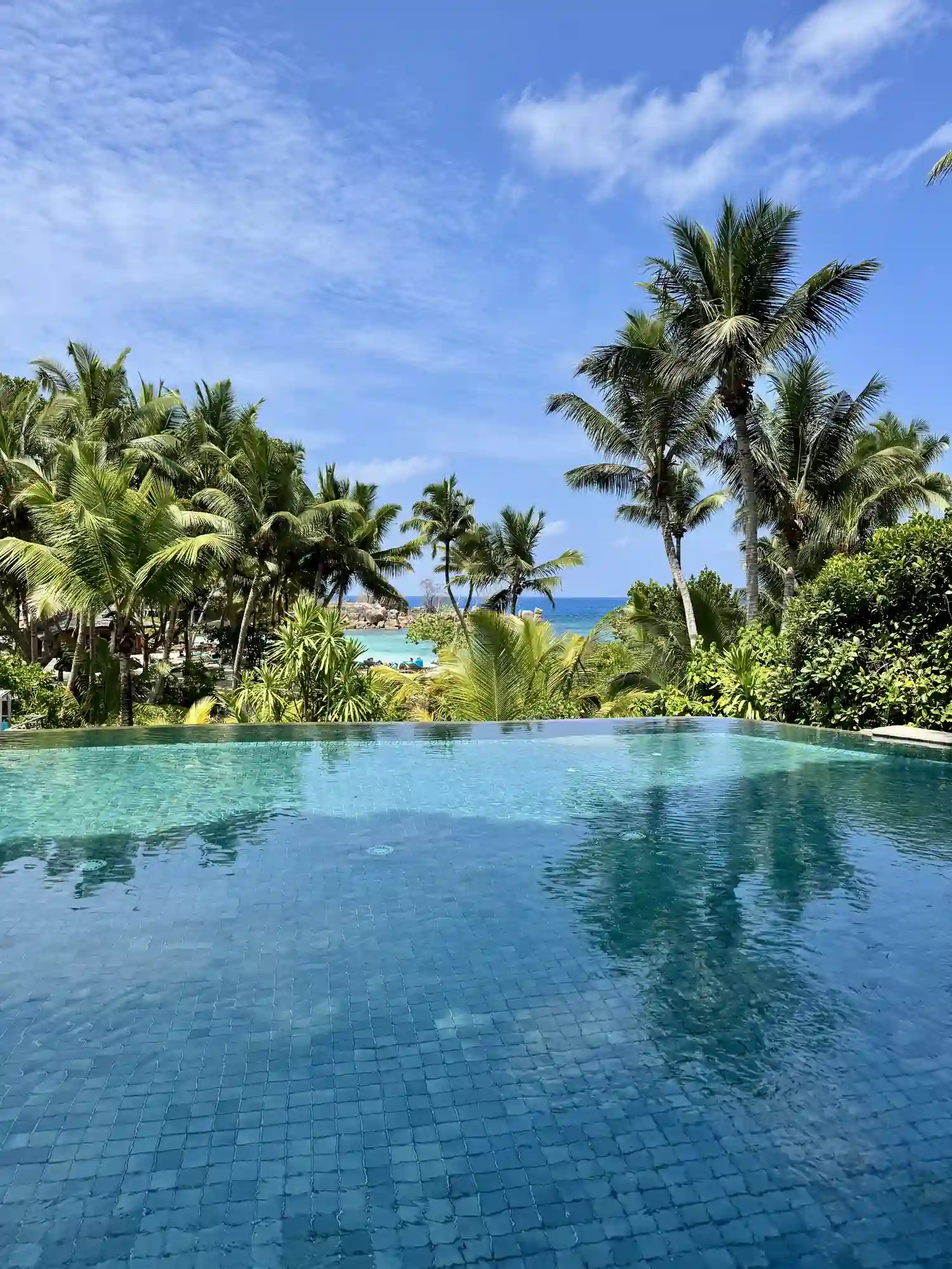 Piscine débordement palmiers Constance Lemuria Praslin Seychelles