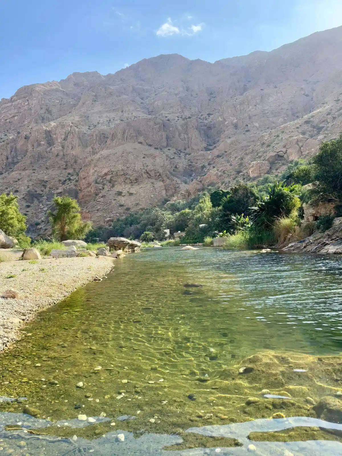 Bassin eau transparente palmiers Wadi Tiwi Oman