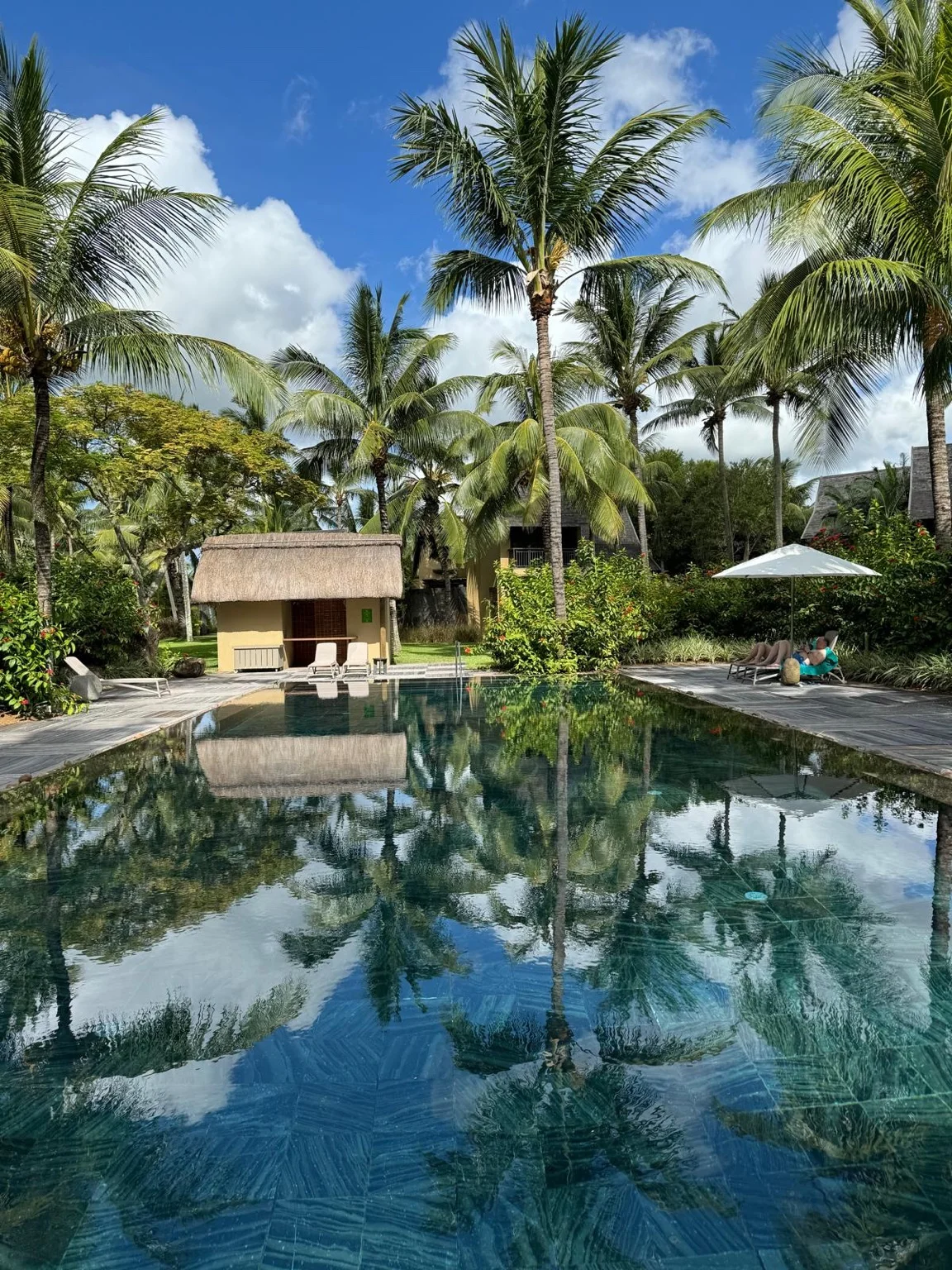 Piscine palmiers Hôtel Beachcomber Trou aux Biches île Maurice