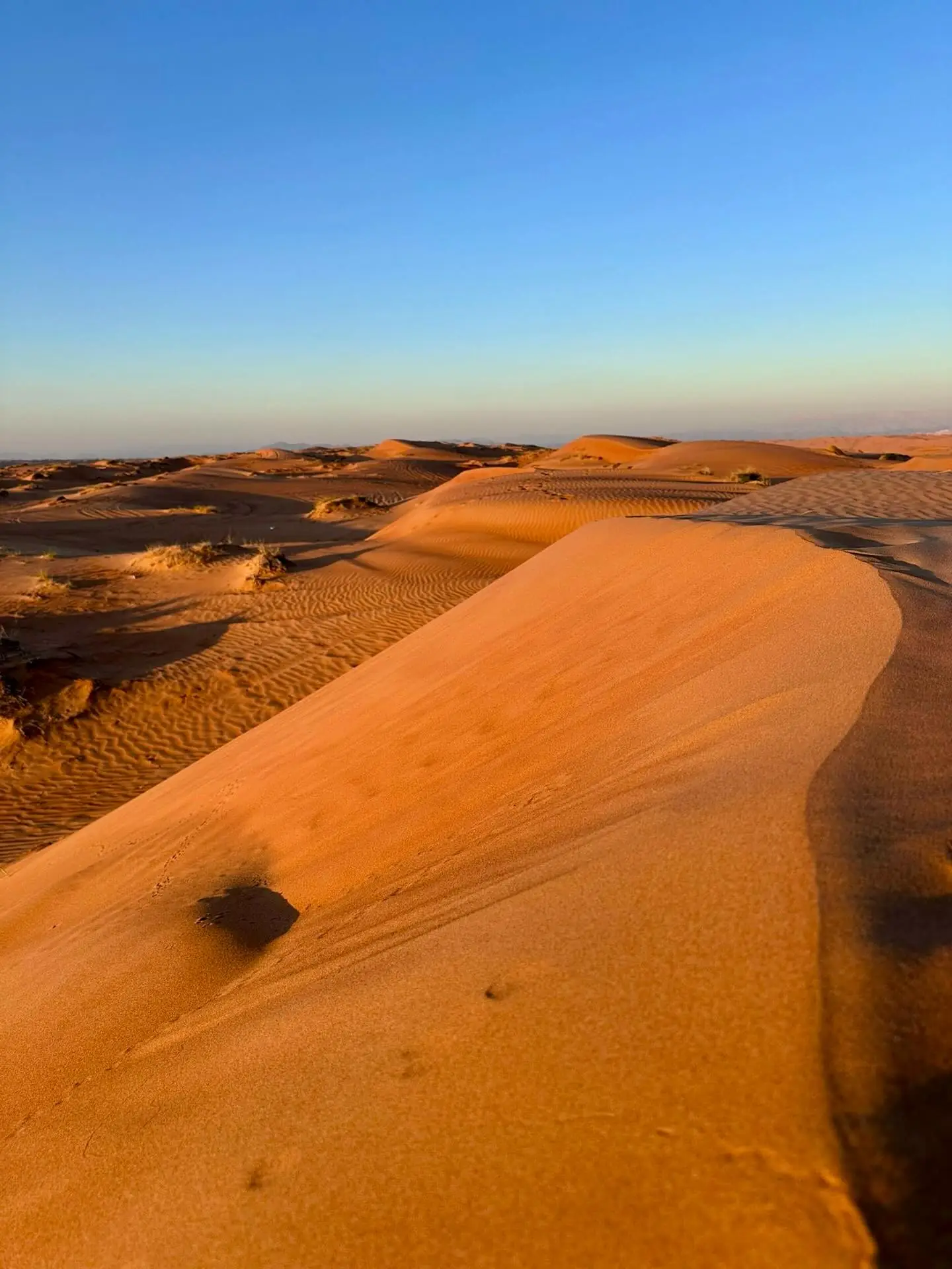Dunes dorées désert Wahiba Oman lever soleil