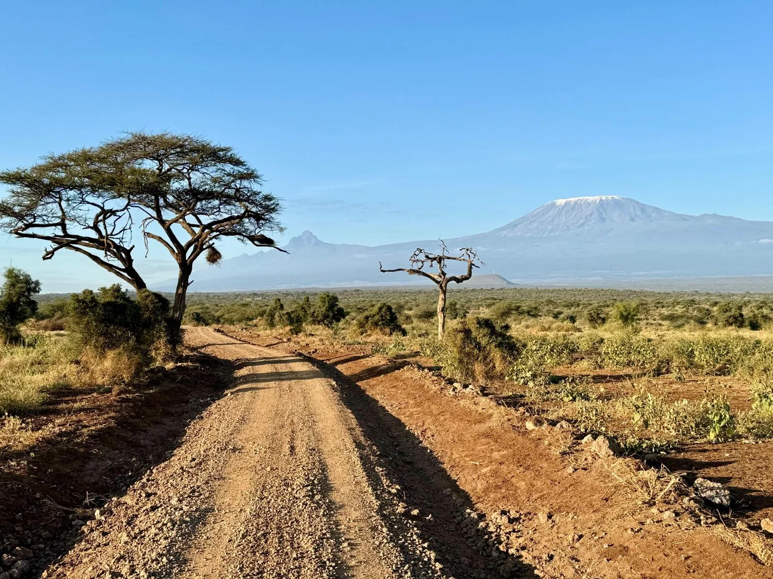 Piste terre parc Amboseli Kilimandjaro enneigé Kenya Afrique