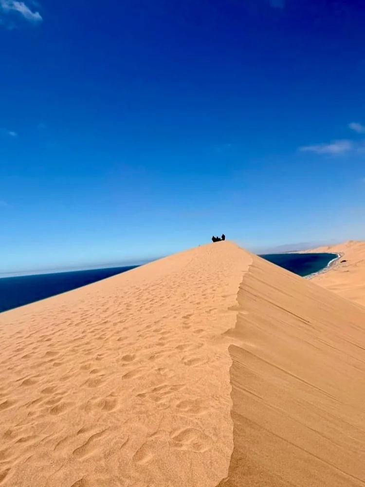 Dune de sable géante face à l'océan Atlantique désert du Namib Namibie