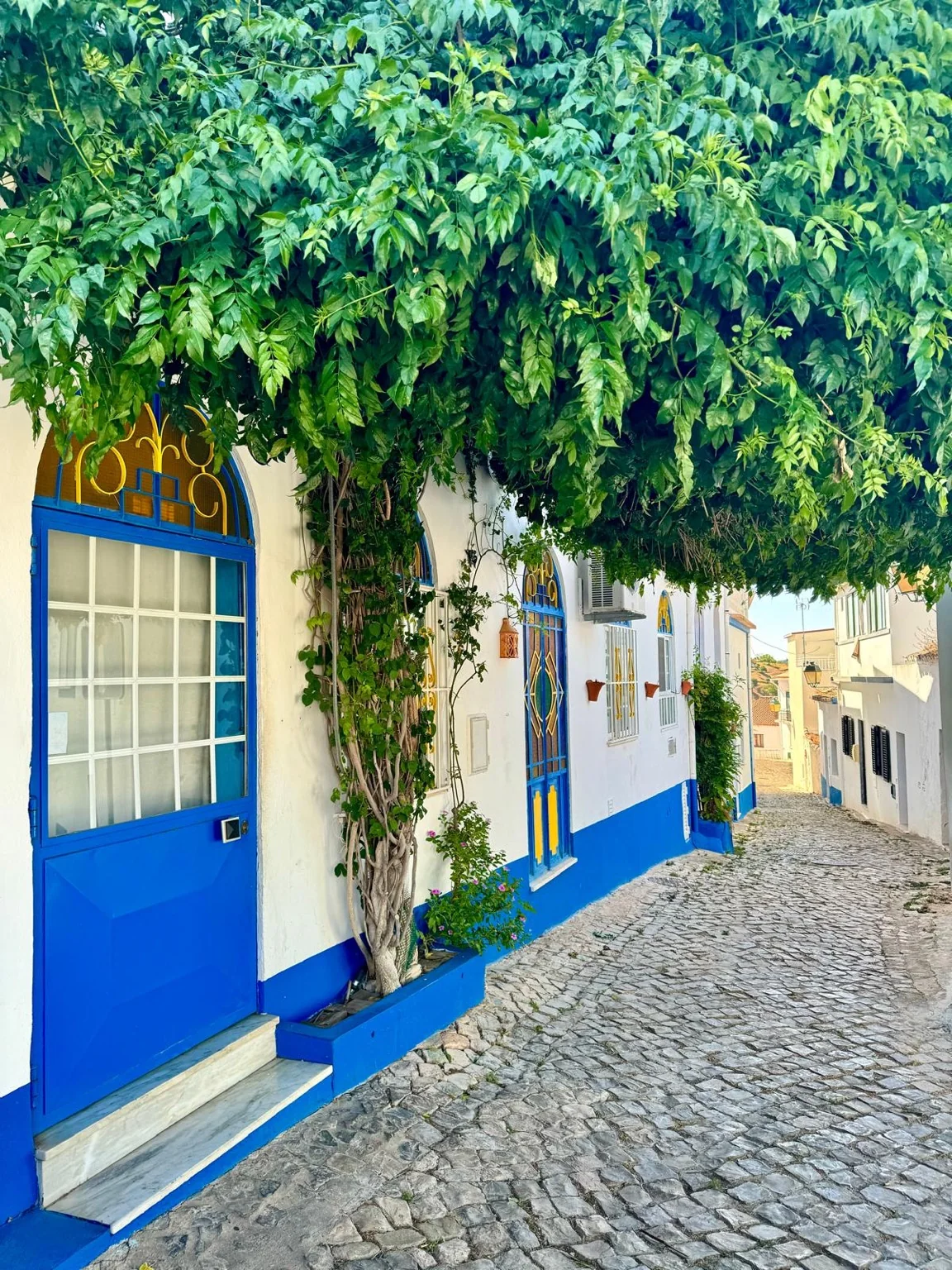 Ruelle pavée maisons blanches portes bleues village Alte Algarve Portugal