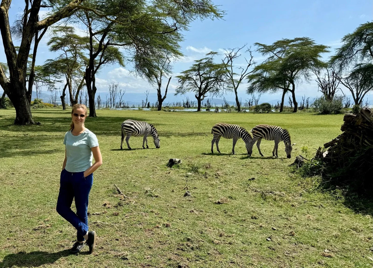 Arbres étendue verte lac Naivasha Kenya Afrique