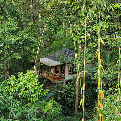 Bamboo-bungalow.jpg