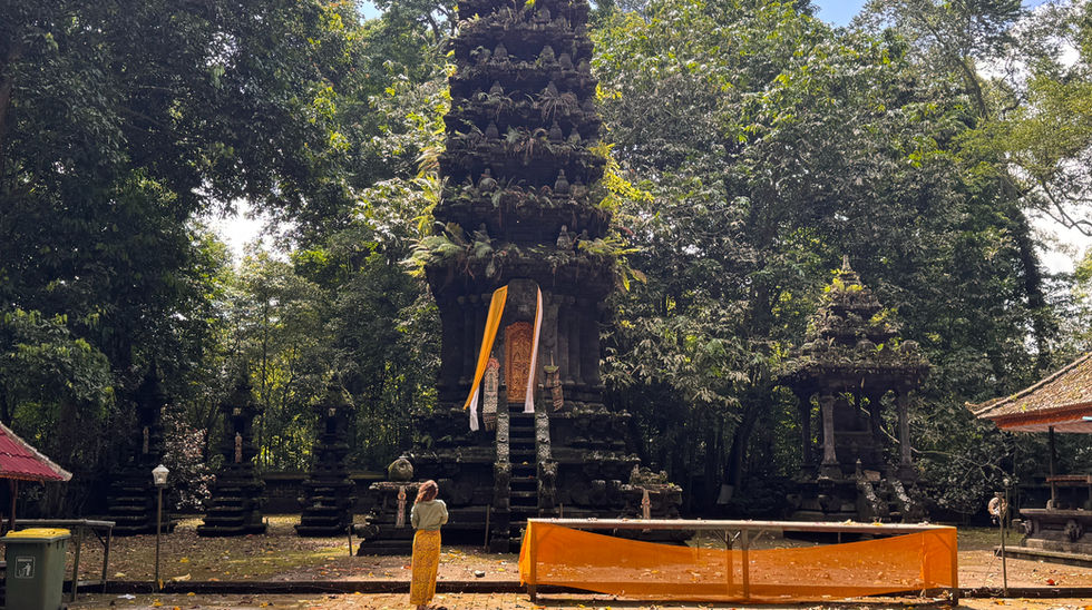 Mekori Monkey Forest Tour at Jiwa Eco Escape