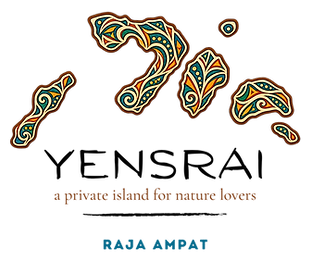 Main logo color.png