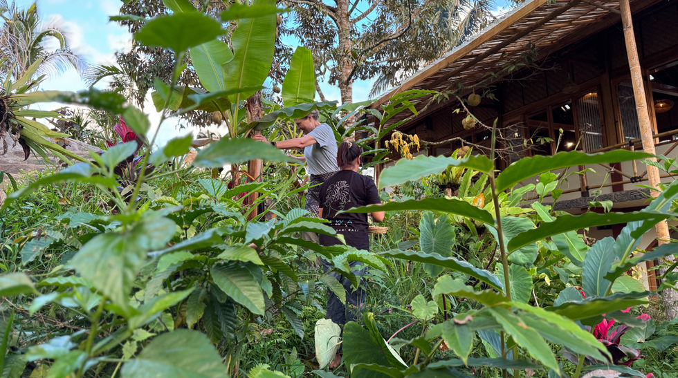 Balinese Cooking Class at Jiwa Eco Escape