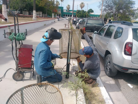Trabaja Ayuntamiento en el Rescate de Espacios Públicos