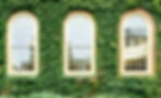 Ivy%20wall%20in%20Harvard%20at%20Cambridge%2C%20Massachusetts%2C%20USA._edited.jpg