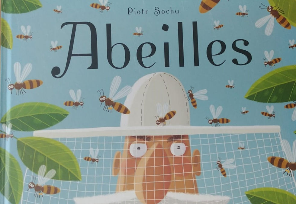 Les abeilles, Piotr Socha, De la Martinière Jeunesse