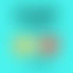 The Heart of Giving: How F2J's Marketplace Makes Every Contribution Count