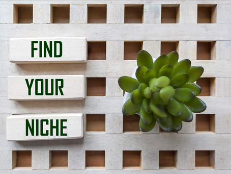 Successful cleaning business owners have a niche for their cleaning business. This is how you can find a niche for your cleaning business in 2025.