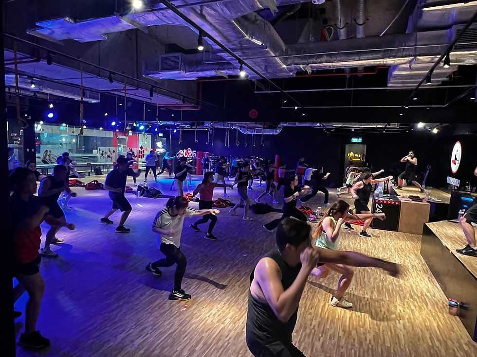 LM Bodycombat at chimpchamp