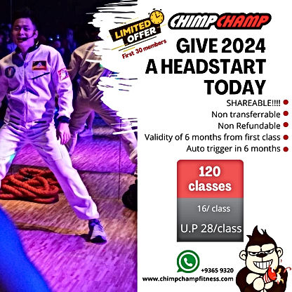 Chimpchamp_promo_120classes.JPG
