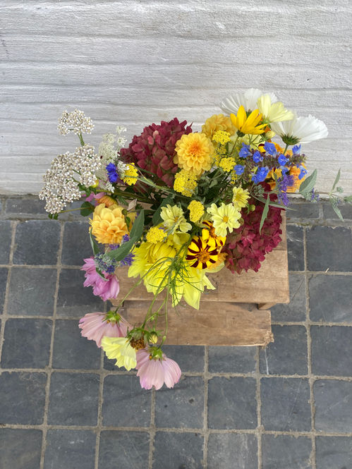 Seizoensbloemen; lokaal; uit eigen tuin; dagverse boeketjes; veldbloemen; dahlia's; cosmos; hortesia