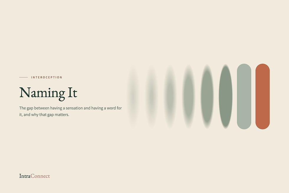 Naming it: interoception, language and being understood