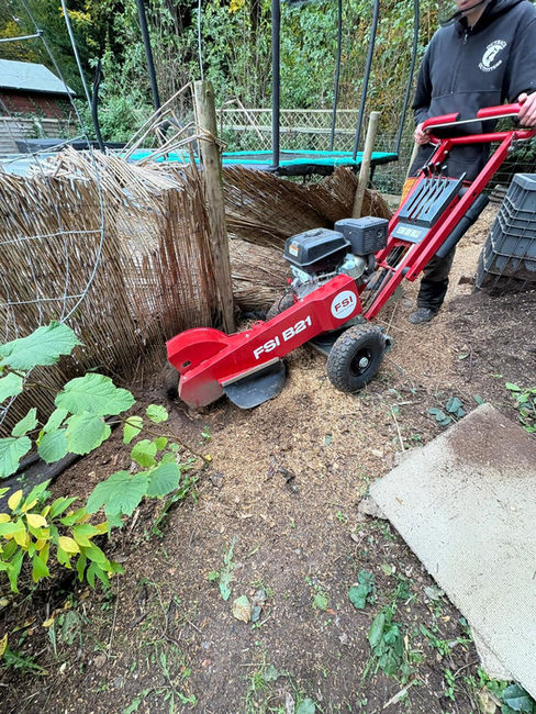 Stump Grinding
