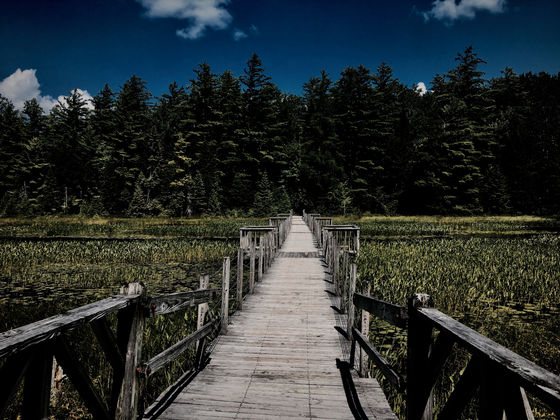 The Other Road Not Taken