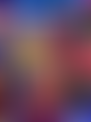 LFF Newsletter - 12th March 2026