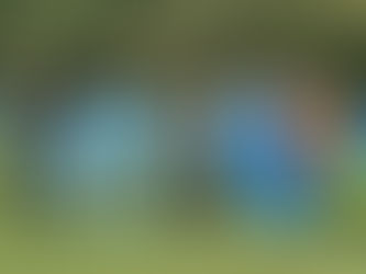 Match Report: Newark Town Titans v Silva FC Carlton Grey (U9)