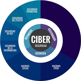Gráfico-logos-servicios-Ciberseguridad-2