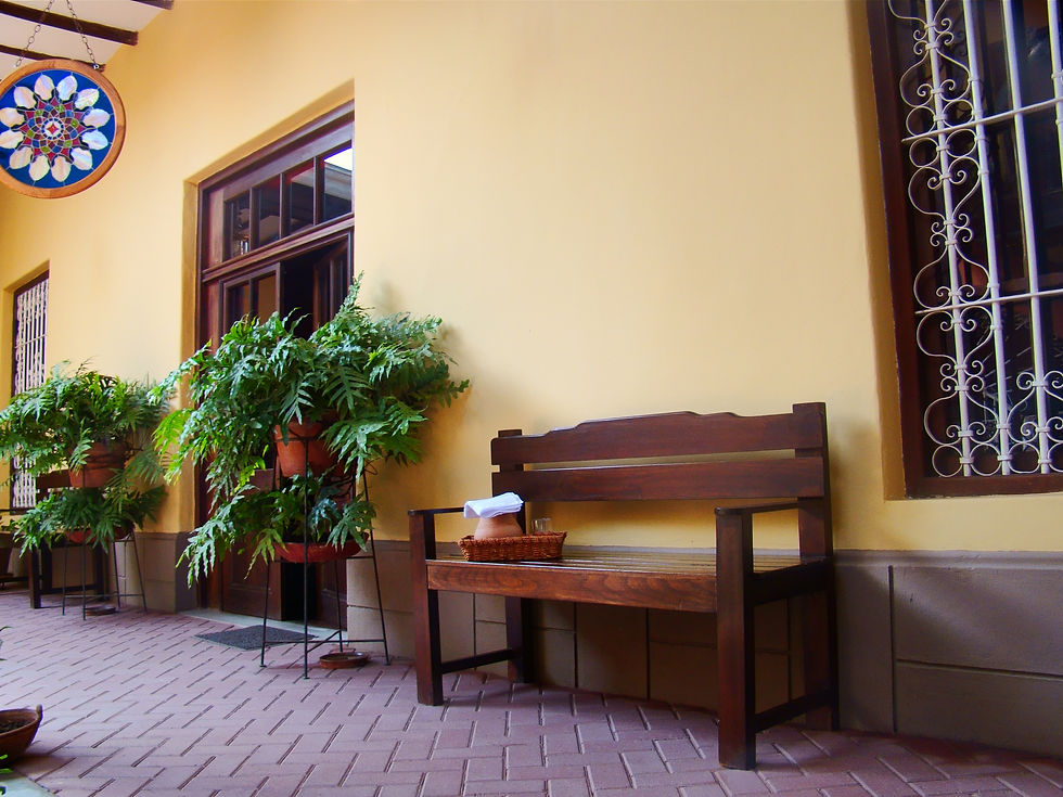 Primer patio
