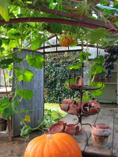 agenda-visite-jardin-(3)
