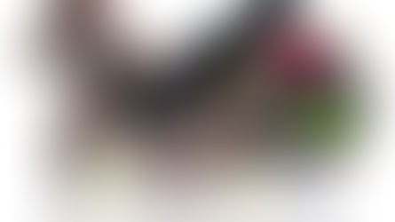 Stage "Se meubler 100% naturel + Initiation à l'alimentation vive"