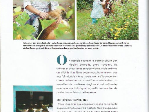 Notre jardin dans le magazine Nest