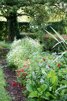 agenda-visite-jardin-(2)