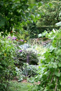 agenda-visite-jardin-(1)