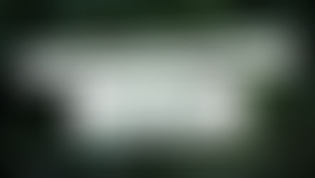 Pour vivre plus libre, il faut savoir dire non.